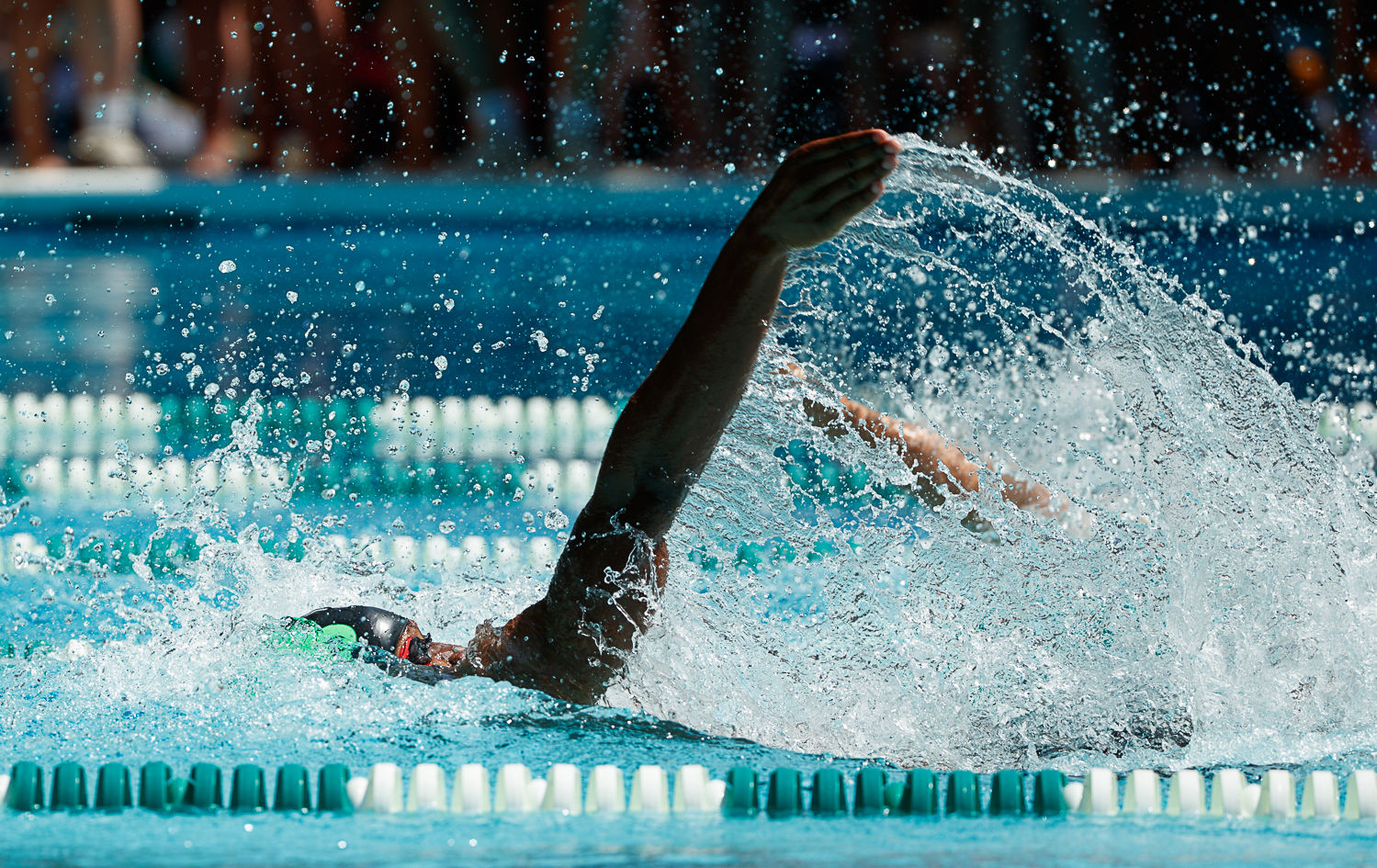 Highlands swimming 14